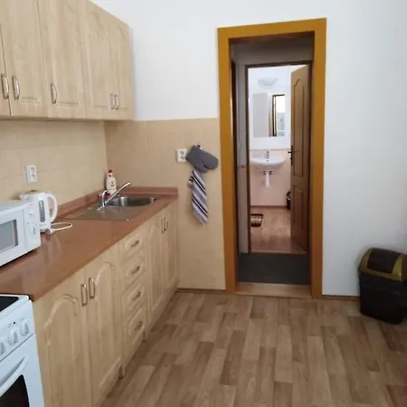 アパート Apartman Centrum Jablonec ヤブロネツ・ナド・ニソウ